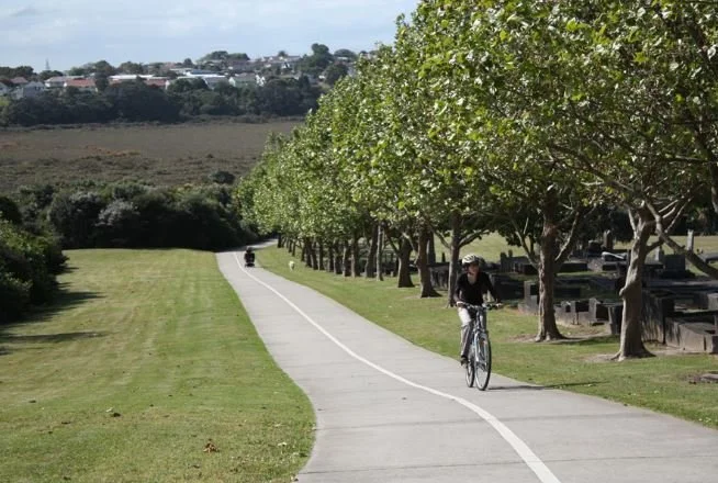 Takapuna discount bike shop